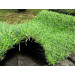 Штучна трава Landgrass
