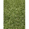 Штучна трава Landgrass
