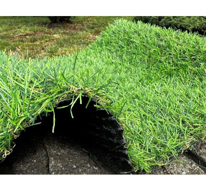 Искусственная трава Landgrass