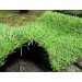 Искусственная трава Landgrass