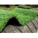 Искусственная трава Landgrass