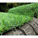 Штучна трава Landgrass