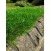 Штучна трава Landgrass